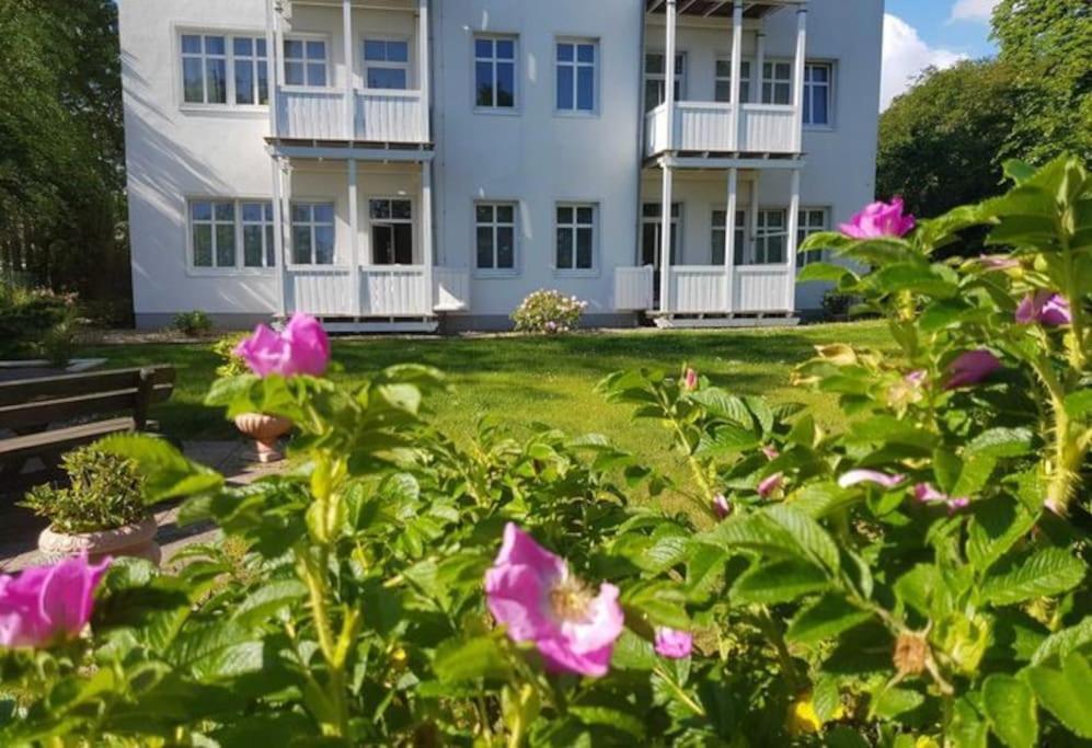 Studio 9, Residenz Seeblick Sellin  المظهر الخارجي الصورة